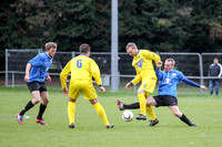 Colliers Wood United v Epsom & Ewell Combined Counties League Premier Division 28/11/15