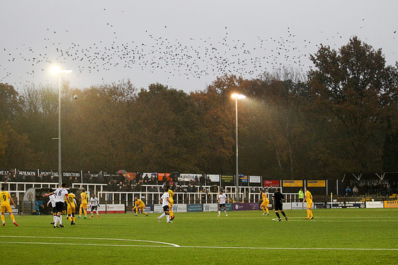 Bromley v Chester - Vanarama National League - 18th November 201