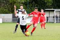 Molesey v Northwood - Bostik League South Central division - 27t