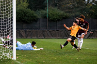 Croydon Ath v Three Bridges - Isthmian SE div - 15-11-25