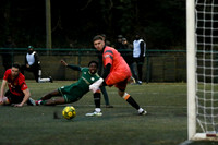 AFC Whyteleafe v Sittingbourne - Isthmian SE - 10-01-26