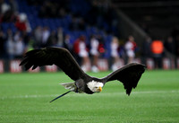 Crystal Palace v Charlton AthleticCapital One Cup23/09/2015.