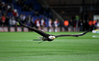 Crystal Palace v Charlton AthleticCapital One Cup23/09/2015.