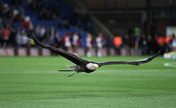 Crystal Palace v Charlton AthleticCapital One Cup23/09/2015.