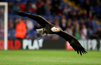 Crystal Palace v Charlton AthleticCapital One Cup23/09/2015.