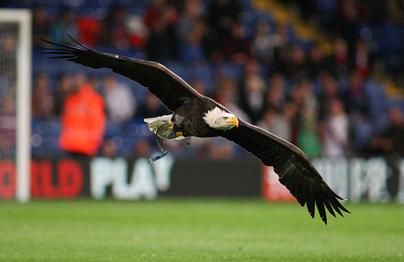 Crystal Palace v Charlton AthleticCapital One Cup23/09/2015.