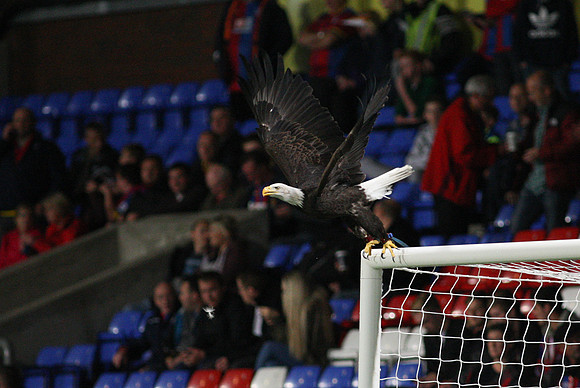 Crystal Palace v Charlton AthleticCapital One Cup23/09/2015.