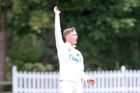 Bromley Town 1st XI v Beckenham CC 2nd XI - 27-06-26