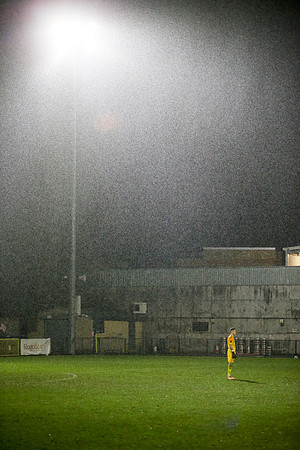 Dulwich Hamlet v Hornchurch - FA Trophy 3rd round - 19th Decembe