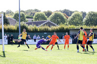 Hartley Wintney v Merthyr Town - Evo-Stik League South Premier S