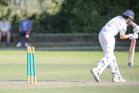 Bromley Town CC 1st XI v Roebucks CC 1st XI - 2nd September 2023