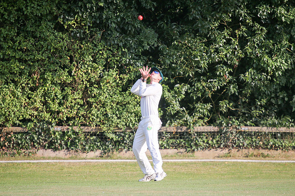 Bromley Town CC 1st XI v New Beckenham CC 1st XI - 17th August 2