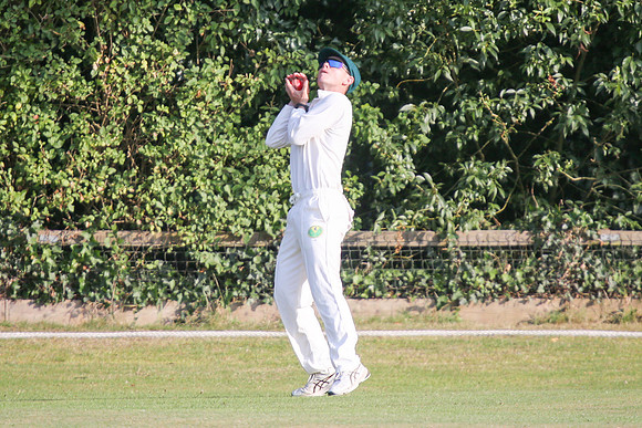 Bromley Town CC 1st XI v New Beckenham CC 1st XI - 17th August 2