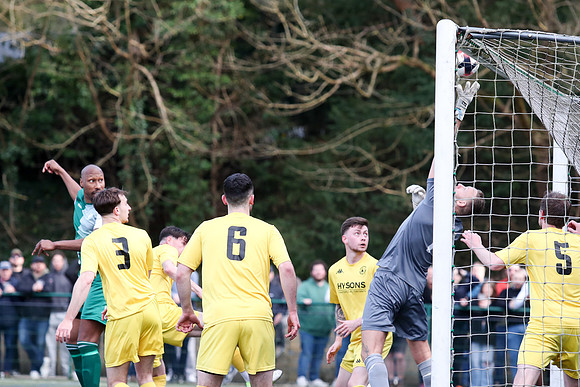 AFC Whyteleafe v Andover New St - FA Vase - 29-03-25