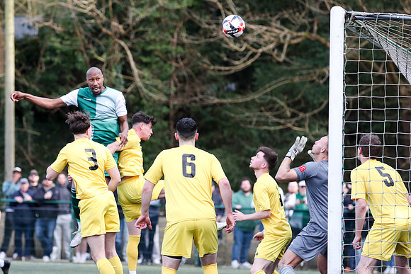AFC Whyteleafe v Andover New St - FA Vase - 29-03-25