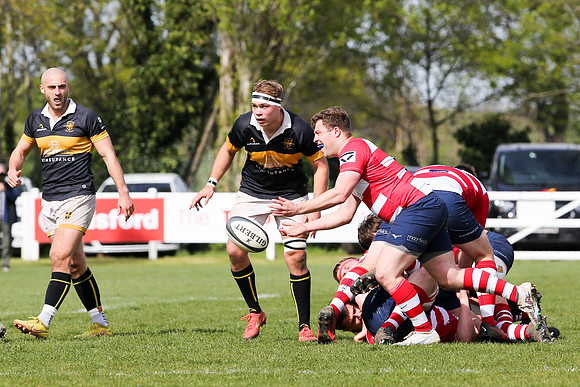 Esher v Dorking - National League 2 East - 14th April 2024