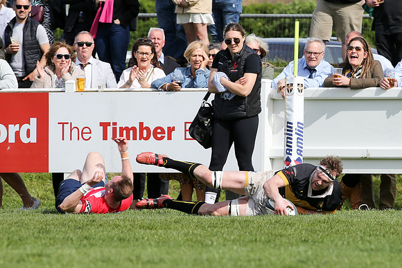Esher v Dorking - National League 2 East - 14th April 2024