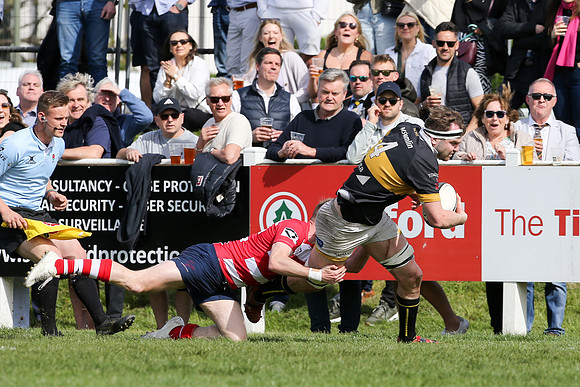 Esher v Dorking - National League 2 East - 14th April 2024