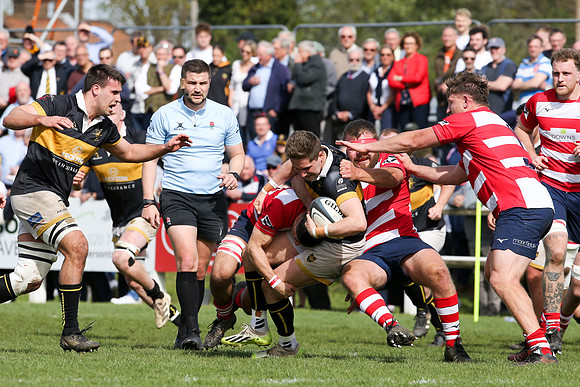 Esher v Dorking - National League 2 East - 14th April 2024