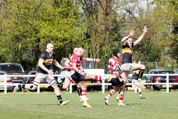 Esher v Dorking - National League 2 East - 14th April 2024