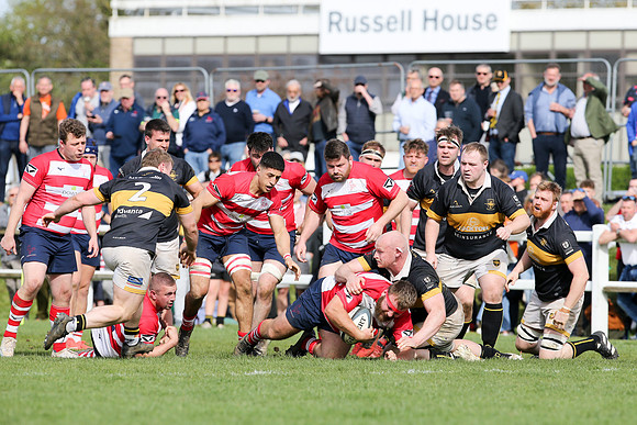 Esher v Dorking - National League 2 East - 14th April 2024