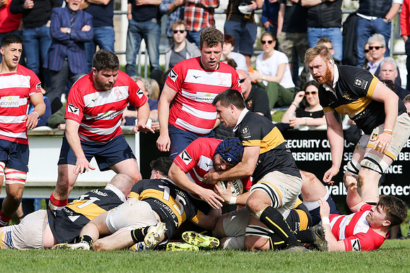 Esher v Dorking - National League 2 East - 14th April 2024
