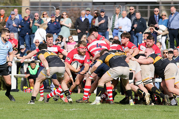 Esher v Dorking - National League 2 East - 14th April 2024