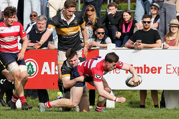 Esher v Dorking - National League 2 East - 14th April 2024