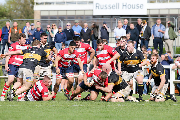 Esher v Dorking - National League 2 East - 14th April 2024
