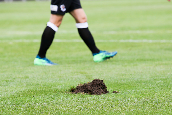 Dartford v Hemel Hempstead - Vanarama National League South - 11