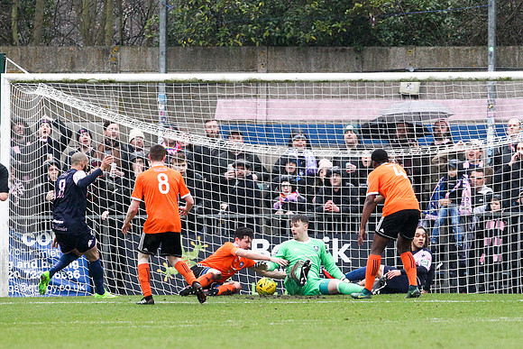 Dulwich Hamlet v Met Police - Bostik League Premier Division - 3rd February 2018