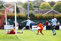Hartley Wintney v Hendon - Evo-Stik League South Premier South -