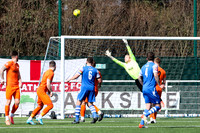 Grays Athletic v Brentwood Town - Isthmian League North division