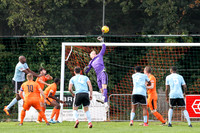 Hartley Wintney v Hendon - Evo-Stik League South Premier South -