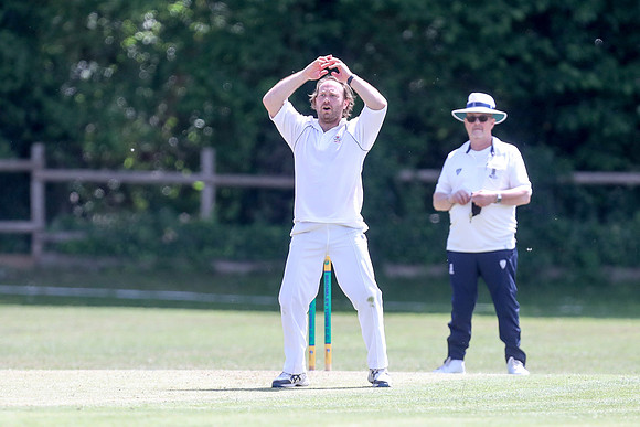 Bromley Town 1st XI v New Beckenham CC 1st XI - 31-05-25