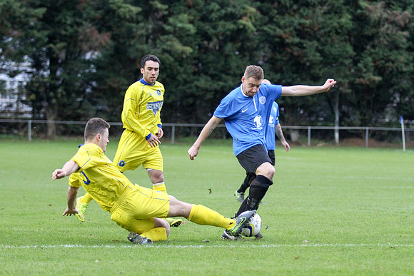Colliers Wood United v Epsom & Ewell Combined Counties League Premier Division 28/11/15