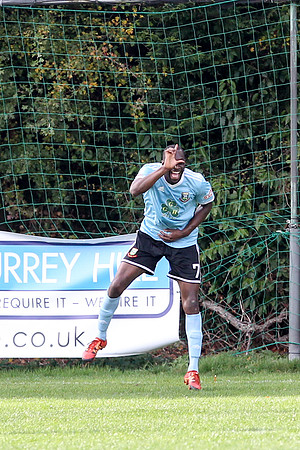 Hartley Wintney v Hendon - Evo-Stik League South Premier South -