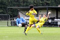 Colliers Wood United v Epsom & Ewell Combined Counties League Premier Division 28/11/15