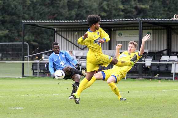 Colliers Wood United v Epsom & Ewell Combined Counties League Premier Division 28/11/15