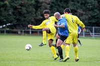 Colliers Wood United v Epsom & Ewell Combined Counties League Premier Division 28/11/15