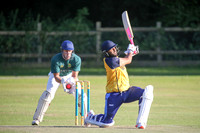 Bromley Town CC v Hayes CC