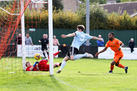 Hartley Wintney v Hendon - Evo-Stik League South Premier South -