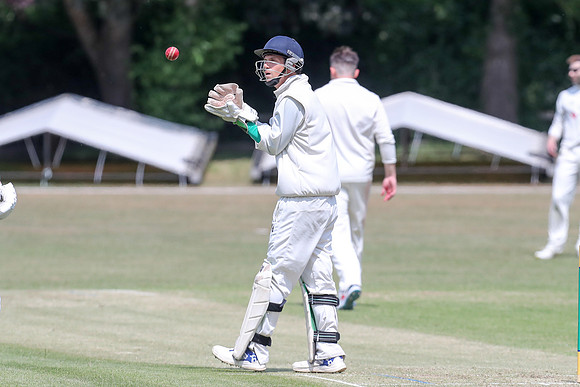 Bromley Town 1st XI v New Beckenham CC 1st XI - 31-05-25