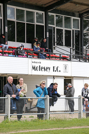 Molesey v Northwood - Bostik League South Central division - 27t