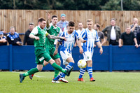 Chertsey Town v Northwich Victoria - FA Vase Semi-final 2nd leg