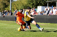 Hartley Wintney v Merthyr Town - Evo-Stik League South Premier S