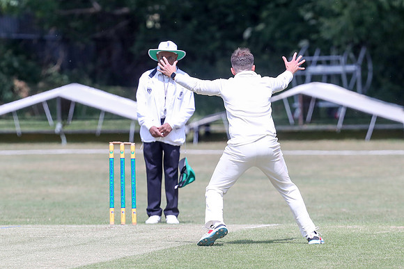 Bromley Town 1st XI v New Beckenham CC 1st XI - 31-05-25