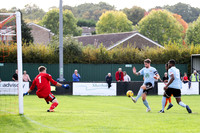 Hartley Wintney v Hendon - Evo-Stik League South Premier South -