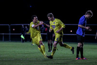 Colliers Wood United v Epsom & Ewell Combined Counties League Premier Division 28/11/15