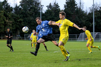 Colliers Wood United v Epsom & Ewell Combined Counties League Premier Division 28/11/15